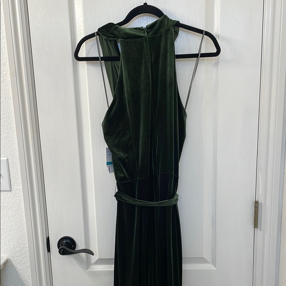 Taylor Green Halter High Low Maxi Gown - Picture 8 of 9